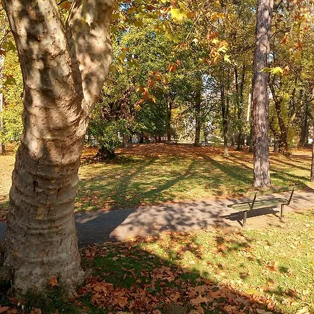 S Centro - Park Kraljevo