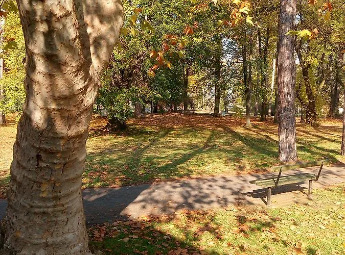 S Centro - Park Κράλιεβο